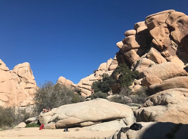 Joshua Tree National Parkにて